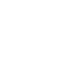 shape